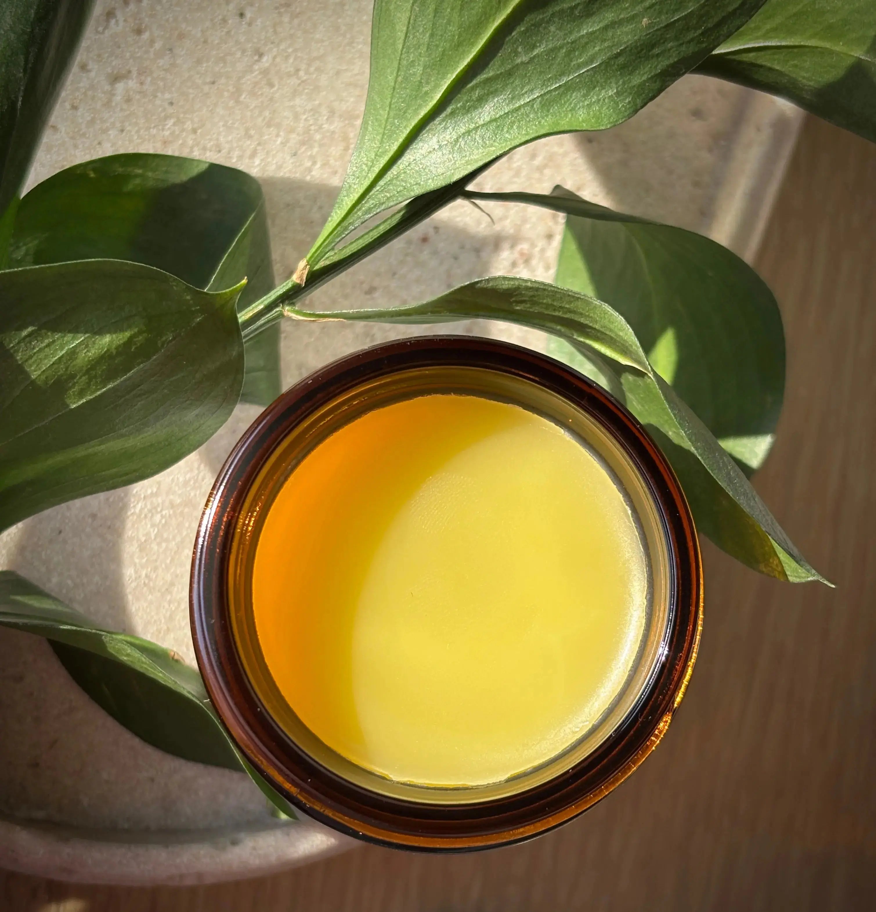 USDA Certified Organic Skin Healer Salve - Medicinal Salve for Cuts, Burns & Eczema Organic Meadow Herbals