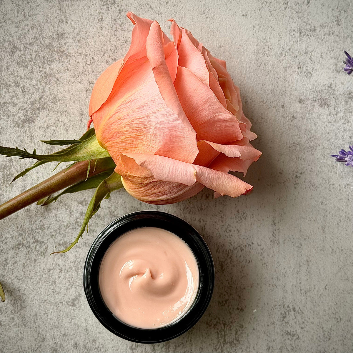 Organic Morning Rose Face Cream - Hydrating & Nourishing Facial Cream Organic Meadow Herbals