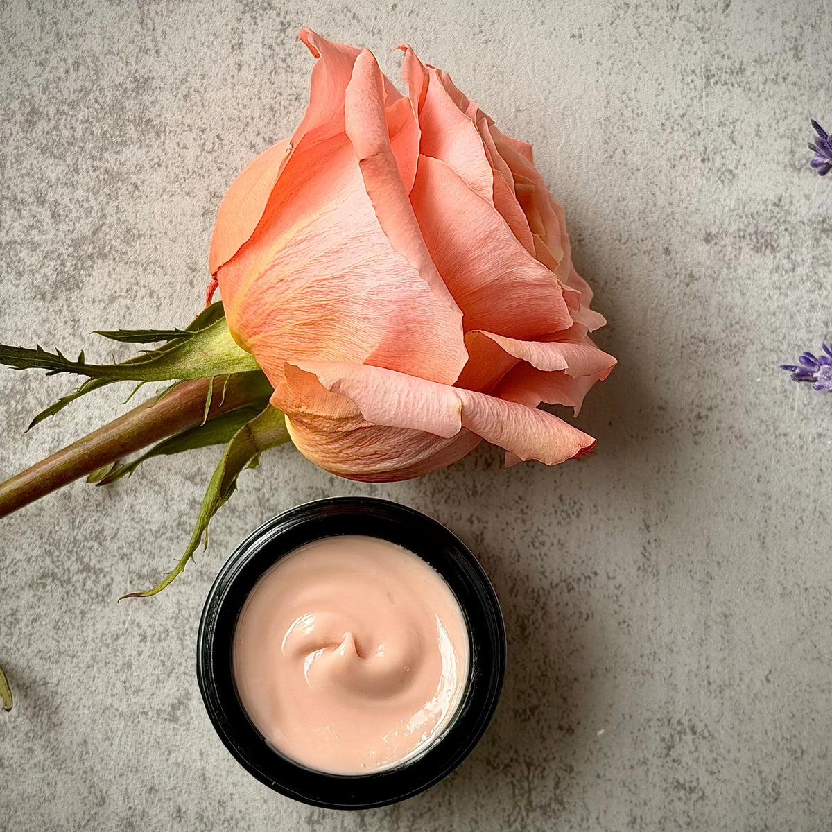 Organic Morning Rose Face Cream - Hydrating & Nourishing Facial Cream Organic Meadow Herbals