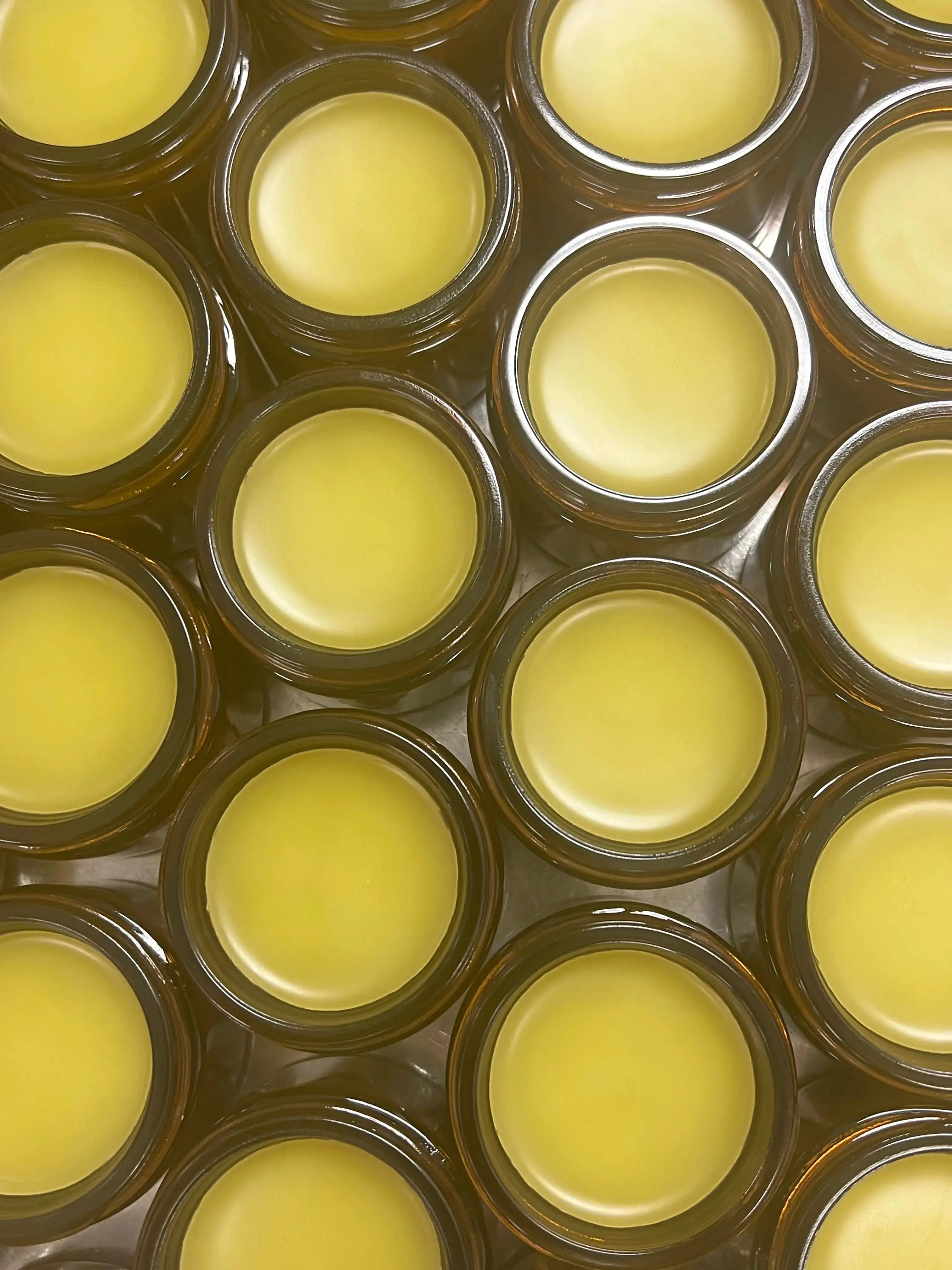 Skin Healer Salve Organic Meadow Herbals