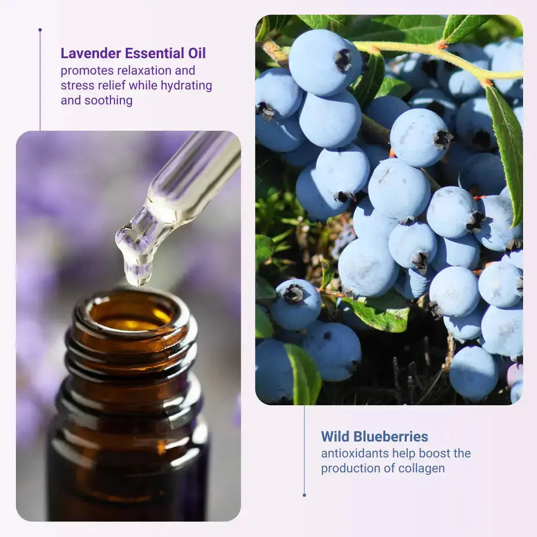 Lavender Essential Oil and Wild Blueberries are the ingredients that benefit the user most
