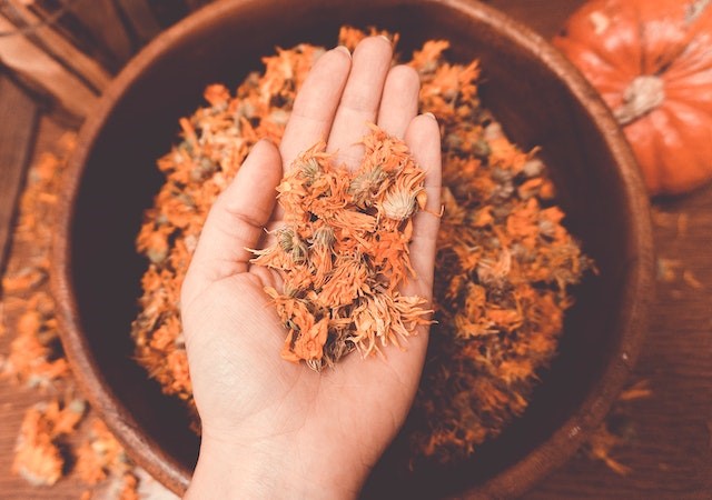 Calendula Flowers