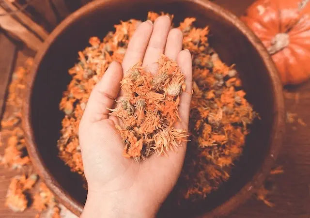 Calendula-Flowers Organic Meadow Herbals