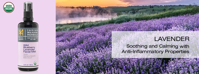 Wild Blueberry Lavender Facial Mist and active ingredients