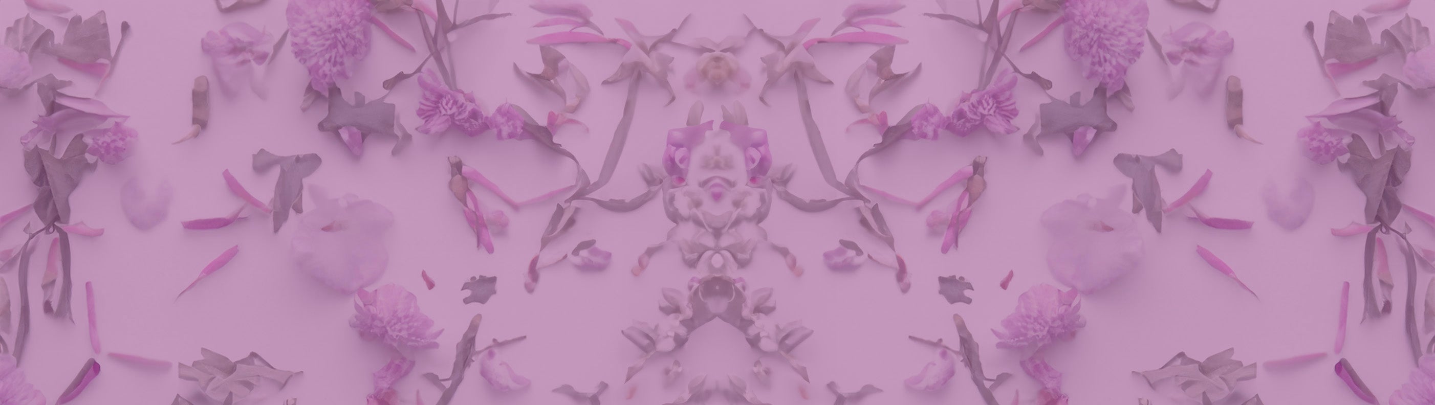 Background image of wild flowers on a white background