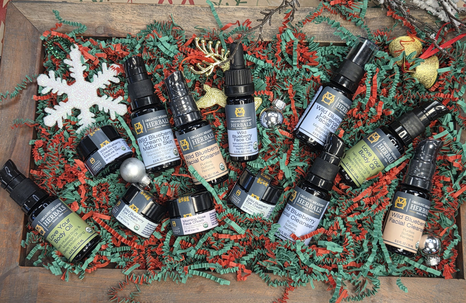 Image of 5 trial size jars of different products