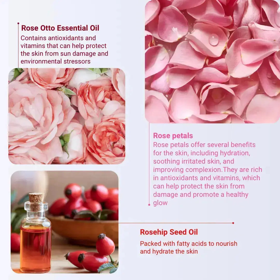 rose oil vs rosehip seed oil Restorative & Hydrating for Dry Skin