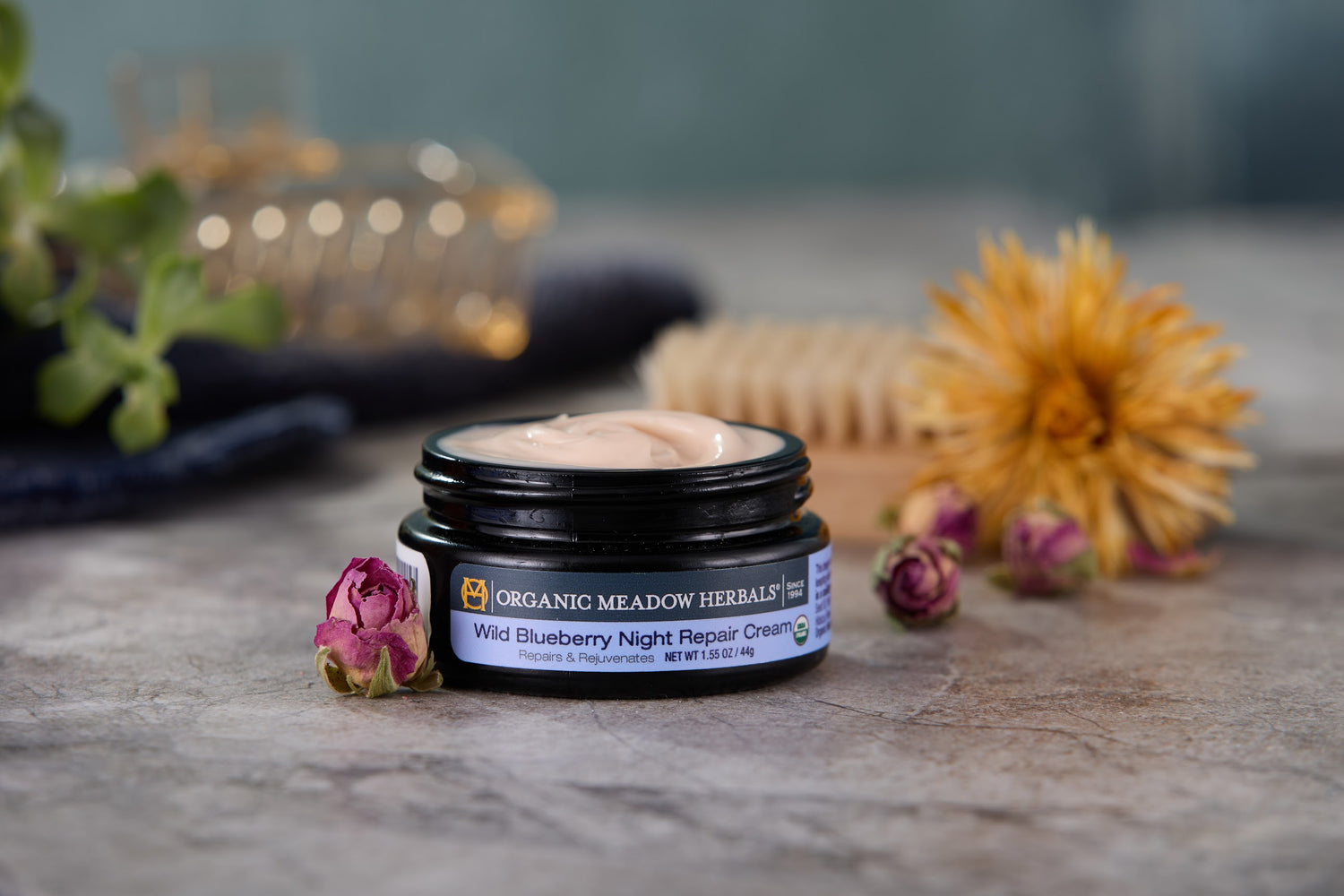 Wild Blueberry Night Repair Cream