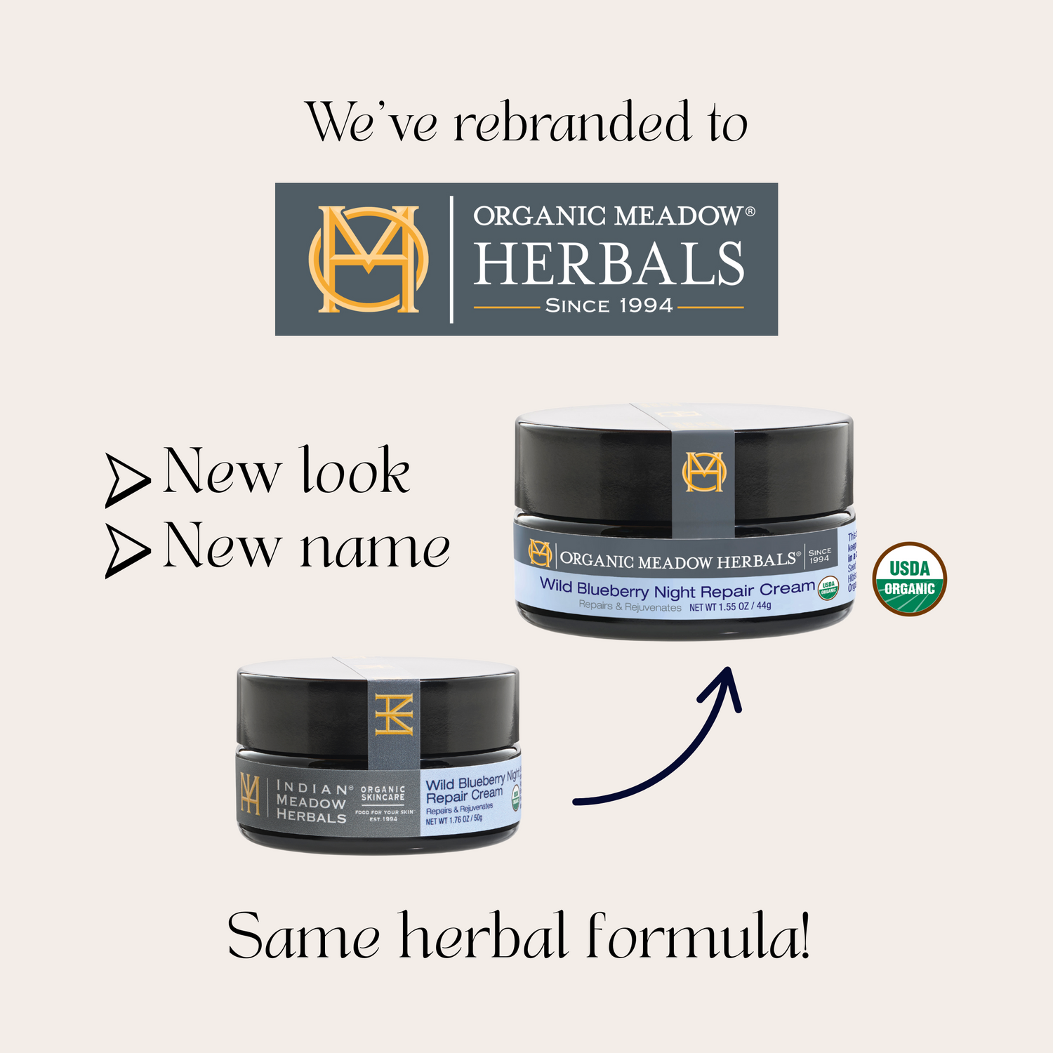 Wild Blueberry Night Repair Cream